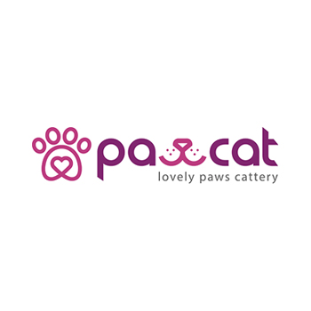 pawcat logo çalışması